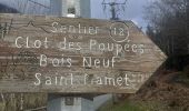 Trail Walking Bagnères-de-Luchon - Saint Mamet Luchon - Photo 14