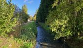 Excursión Senderismo Oud-Heverlee - S-GR Dijleland: Sint-Joris-Weert - Leuven - Photo 3