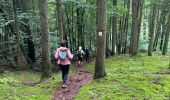 Tour Nordic Walking Habscht - Septfontaines - Photo 1