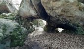 Trail Walking Fontainebleau - 21/02/2020 - Photo 3