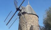 Tocht Stappen Collioure - autour de Collioure a travers les vignes - Photo 3