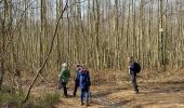 Excursión Senderismo Érezée - Briscol - Photo 10