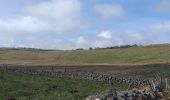 Randonnée Marche Nasbinals - Nasbinal St Chély d'Aubrac - Photo 14