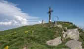 Excursión A pie Ventasso - Casalino - Prati di Sara - Le Prese - Monte Cusna - Photo 7