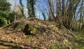 Trail Walking Saint-Jean-sur-Mayenne - Château de la Merveile - Photo 9