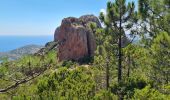 Excursión Senderismo Saint-Raphaël - 1 Les balcons du Cap Roux - Photo 4