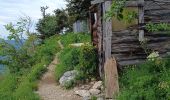 Tocht Stappen Saint-Martin-en-Vercors - Pas st Martin - Photo 14