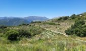 Trail Walking la Vall de Laguar - Benimaurell 250525 - Photo 17
