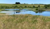 Tocht Stappen Nasbinals - Nasbinals Montorzier Aubrac GR65 - Photo 12