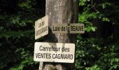 Randonnée Marche Montgobert - en forêt de Retz_83_les Champs Mentard_le Fond d'Argent - Photo 5