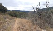 Trail Walking Duilhac-sous-Peyrepertuse - boucle moulin de ribaute - duilhac - gorge du verdouble  - Photo 7