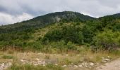Tocht Mountainbike Thorame-Basse - Camping petit cordeil Argens - Photo 3