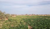 Tour Wandern M'Hamid El Ghizlane ⵎⵃⴰⵎⵉⴷ ⵍⵖⵯⵣⵍⴰⵏ امحاميد الغزلان - Campement 3 au Campement 4 - Photo 4