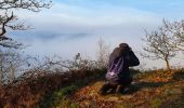 Excursión Senderismo Vresse-sur-Semois - Balade de Membre à Laforêt - Photo 2