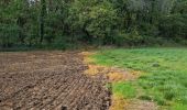 Randonnée Marche Chauffour-lès-Étréchy - Chauffour-lès-Etréchy Coteau des Verts Galants - Photo 6