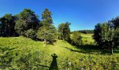 Tocht Te voet Welschenrohr-Gänsbrunnen - Weissenstein – Passwang Weg - Photo 10