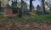 Randonnée Marche Braine-le-Comte - le griffon du bois commun Hennuyères - Photo 1