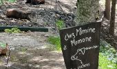 Trail Walking Les Houches - Chamonix :  l'aiguillette des Houches - Photo 2
