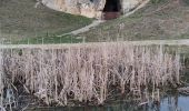 Trail Walking Maastricht - CANI-RANDO TOUR (boucle, montage saint pierre partie Hollande) - Photo 3