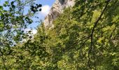 Excursión Senderismo Laval-d'Aix - Abbaye Valcroissant - Photo 17