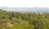 Trail Walking Roquebrune-sur-Argens - LES ISSAMBRES - LE VALLON DE LA GAILLARDE - Photo 1