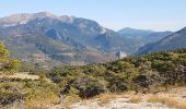 Trail Walking Castellane - CASTELLANE - CADIERES DE BRANDIS PAR COL DES LEQUES - Photo 2