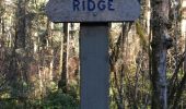 Tocht Stappen Saanich - High Ridge Trail - Photo 4