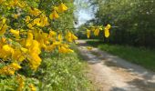 Trail Walking Ormoy-le-Davien - 030422 - Direction Vaucienne puis Vaumoise et Cave du diable - Photo 2