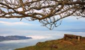 Tocht Te voet Küssnacht (SZ) - Seebodenalp - Altruodisegg - Holderen - Seebodenalp - Photo 2