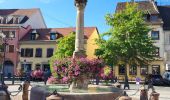 Tocht Stappen Molsheim - Molsheim - Fort de Mutzig - Balade dans les vignes - Photo 1