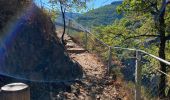 Trail Walking Mazamet - Mazamet passerelle  - Photo 10