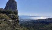 Excursión Senderismo La Ciotat - Dent du chat la Ciotat - Photo 1