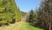 Randonnée Marche Les Cammazes - A partir du Lac des Cammazes - Photo 2