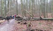 Tour Wandern Sint-Genesius-Rode - Sint-Genesius-Rode - Hoeilaart 2020 01 14 Groene Gordel 2 - Photo 7