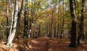 Trail On foot Bad Loipersdorf - Lautenberg/Schaufelberg Runde (Weg 7) - Photo 5