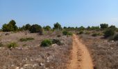 Tour Wandern Leucate - la franqui . phare de leucate .. retour via la falaise - Photo 17