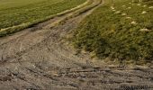 Tocht Stappen Middelkerke - lombardsijde westende - Photo 19