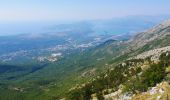 Randonnée Marche веревочн парк - Promenade des loups NP Lovcen - Photo 1