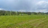 Trail Walking Florenville - 83.631 Muno -  Chassepierre   - Photo 8