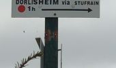 Excursión Senderismo Dorlisheim - rando Dorlisheim 2 - Photo 13