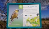 Tour Wandern Vuren - Ulvend - La Planck - Noorbeek  - Photo 4