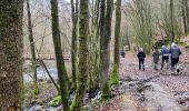 Trail Walking Daverdisse - Daverdisse  - Photo 10