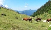 Randonnée A pied Le Grand-Bornand - Rando Col des Anes - Photo 2