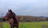 Randonnée Marche Aywaille - de Tlff à Sur le Tige -  autour du bois de Warnoumont - Photo 13