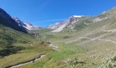 Randonnée Marche Pralognan-la-Vanoise - Col du soufre et bas du glacier de Gébroulaz - Photo 10