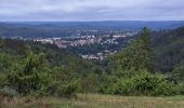 Tocht Stappen Arcambal - Étape 5 Les Mazuts Cahen - Photo 10