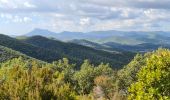 Randonnée Marche Pierrefeu-du-Var - Pierrefeu du var - les Baisses - Photo 10