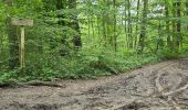 Tocht Stappen Les Granges-le-Roi - Forêt domaniale de Dourdan  - Photo 6