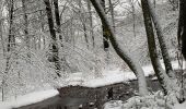 Tour Wandern La Roche-en-Ardenne - Autour de Samree  - Photo 9