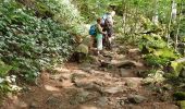 Tour Wandern Stoßweier - rdpr gaschney - Photo 3